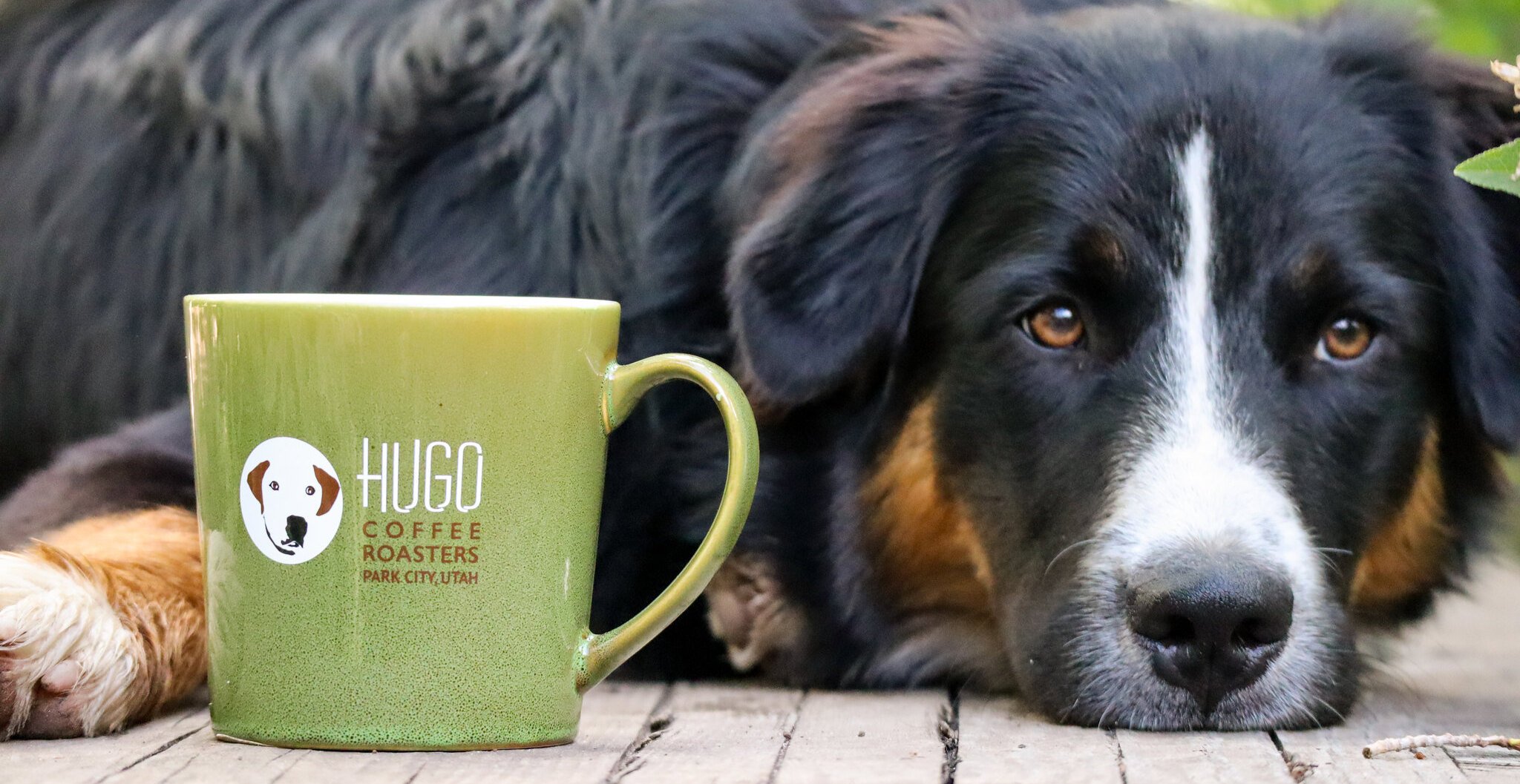 hugo coffee cup 