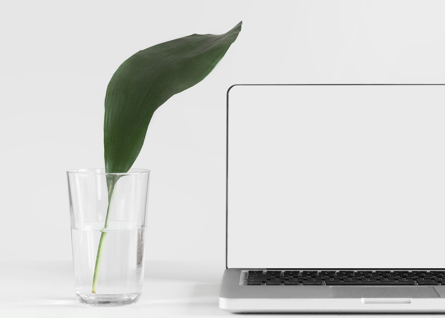 An interior design website pulled on up a computer