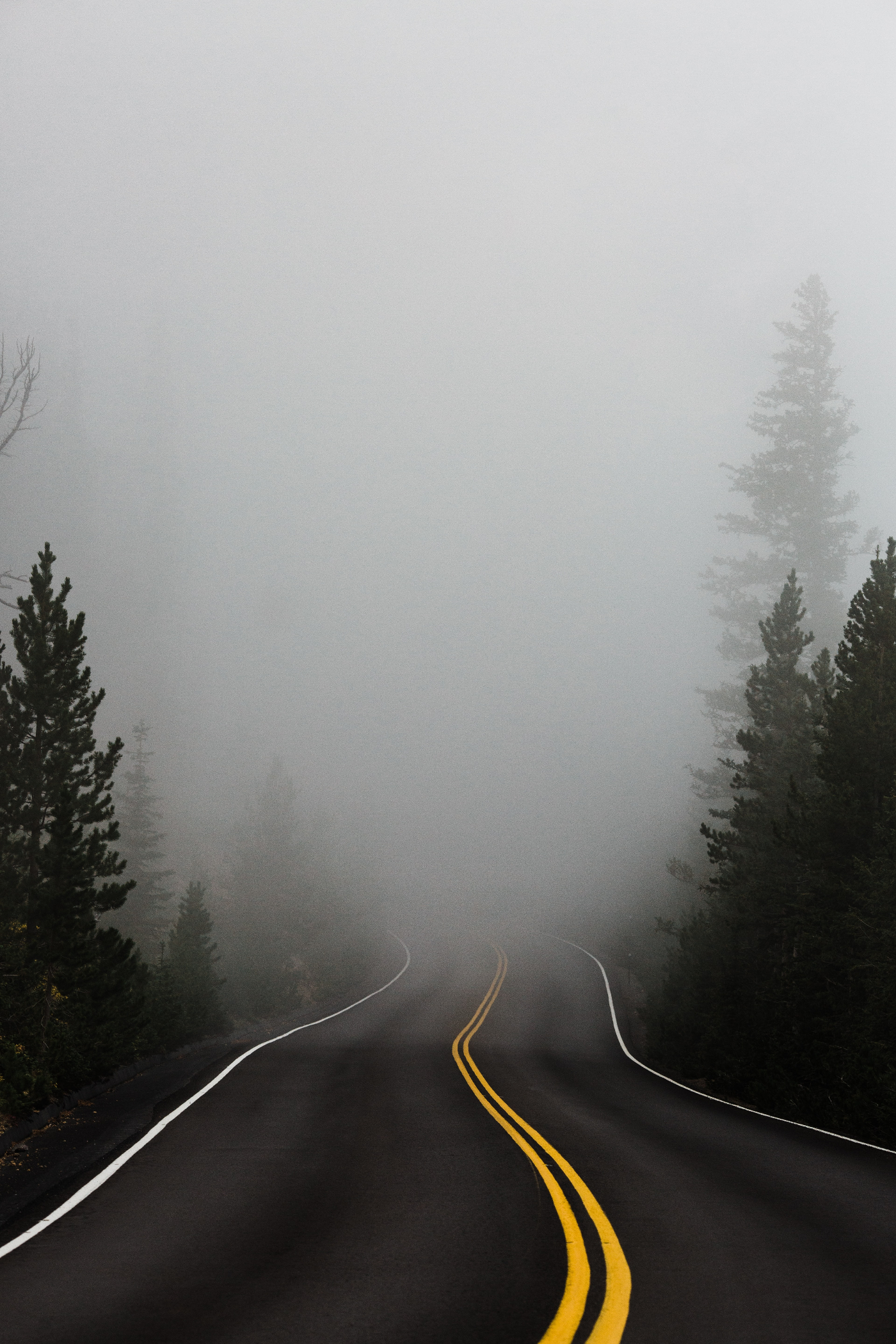 A highway, yellow center line twisted and heading off into a thick bank of fog.