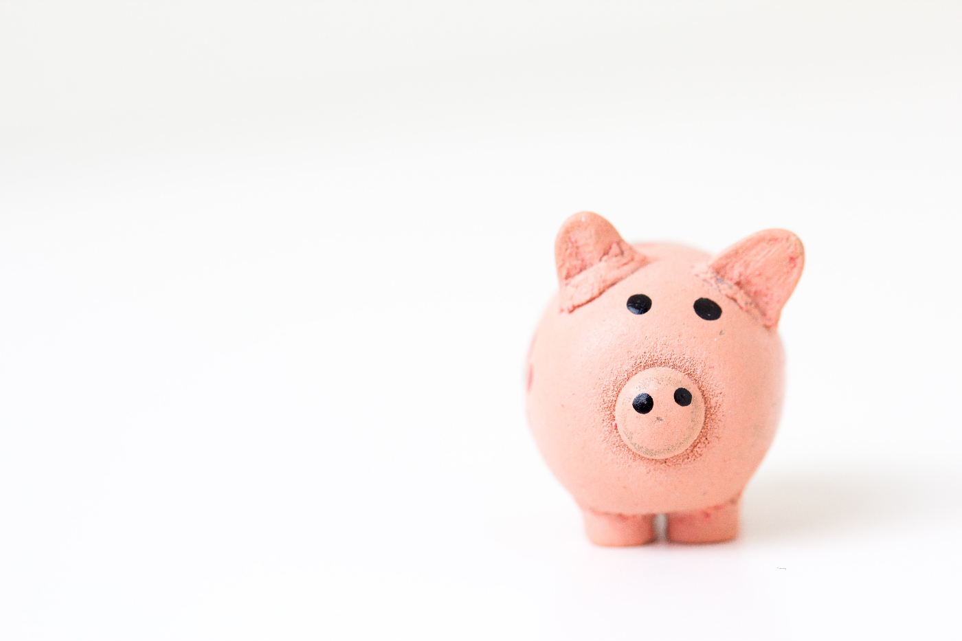 A pink stuffed pig