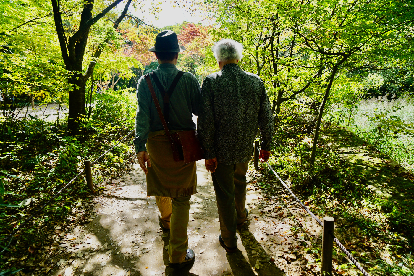 Two gents walking in a park