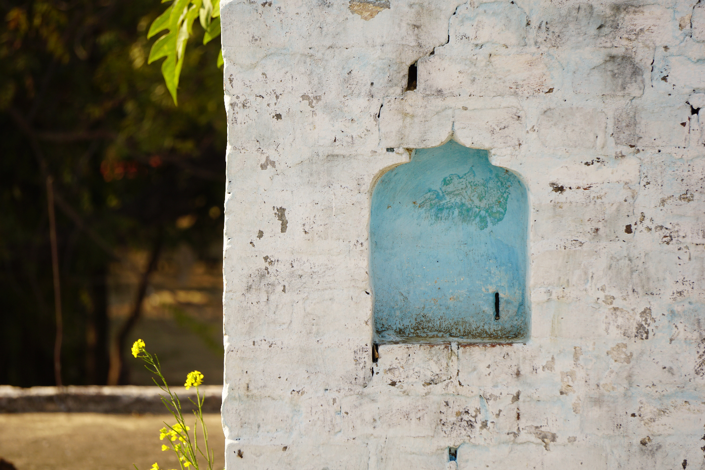 a small bule door in a white wall