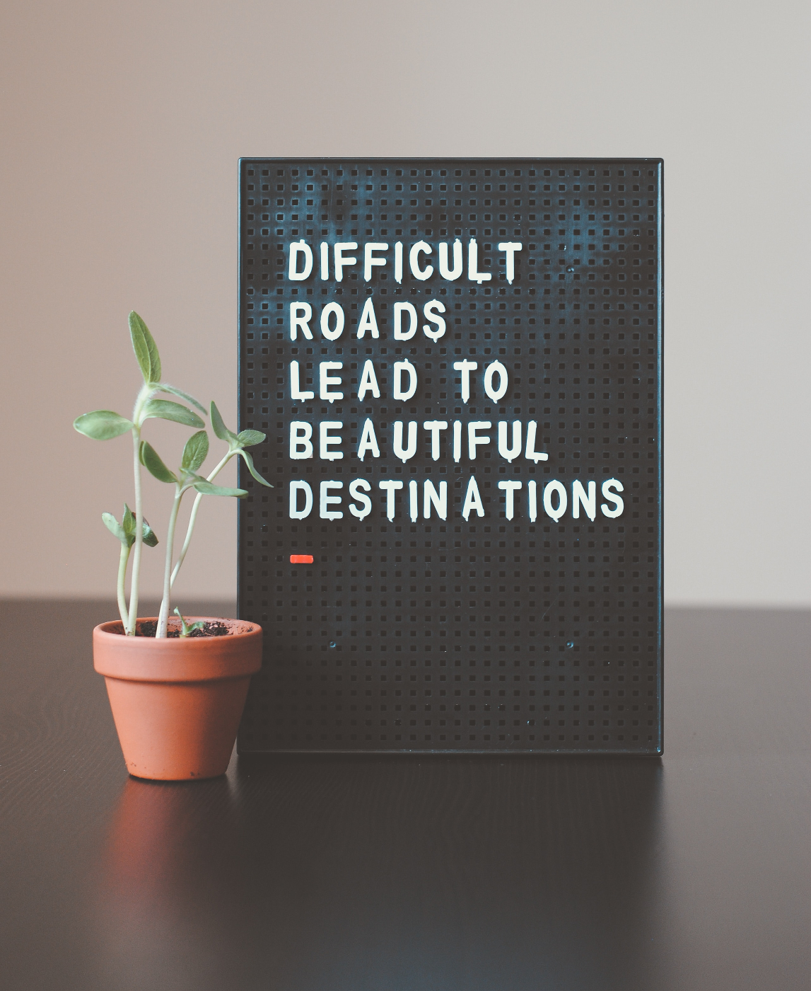 A plant next to a sign reading Difficult roads lead to beautiful destinations