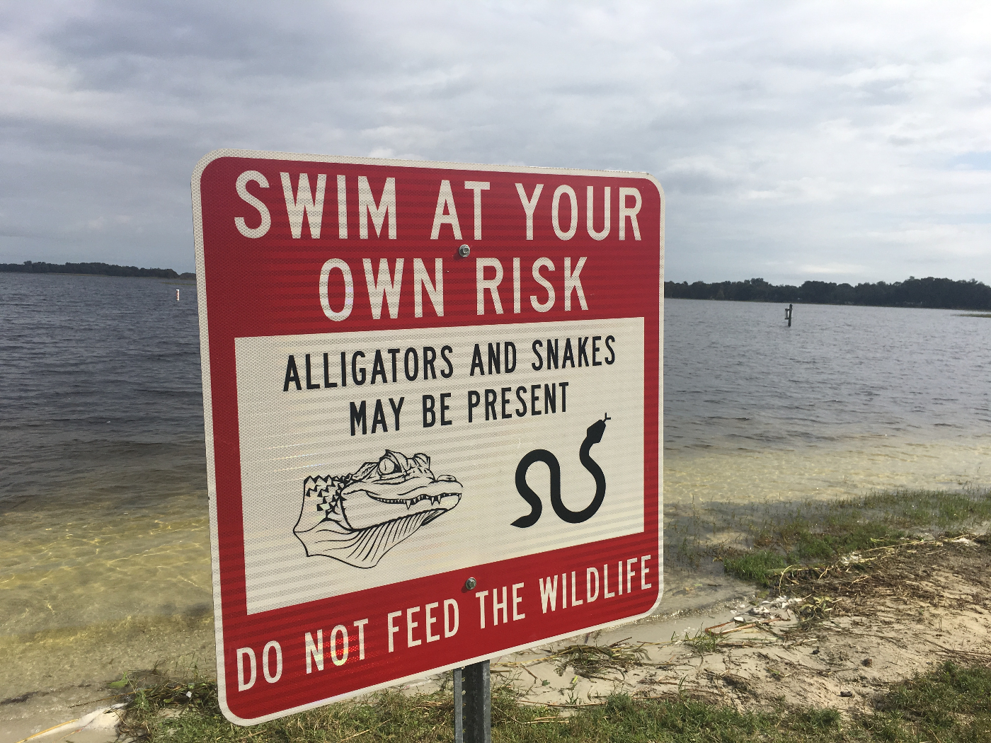 sign: Swim at your own risk, Alligators and snakes may be present, do not feed the wildlife