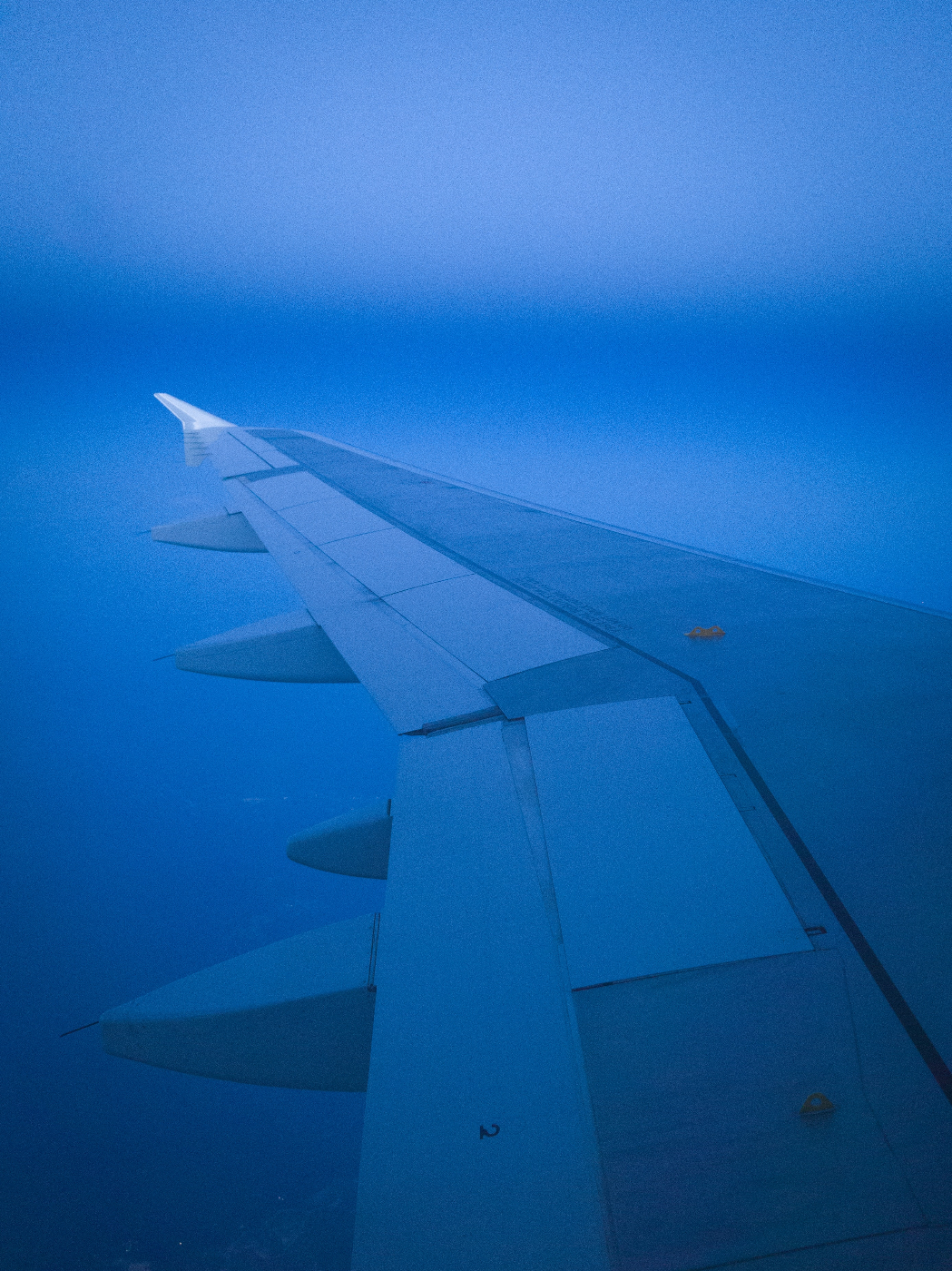 Wing of a jet