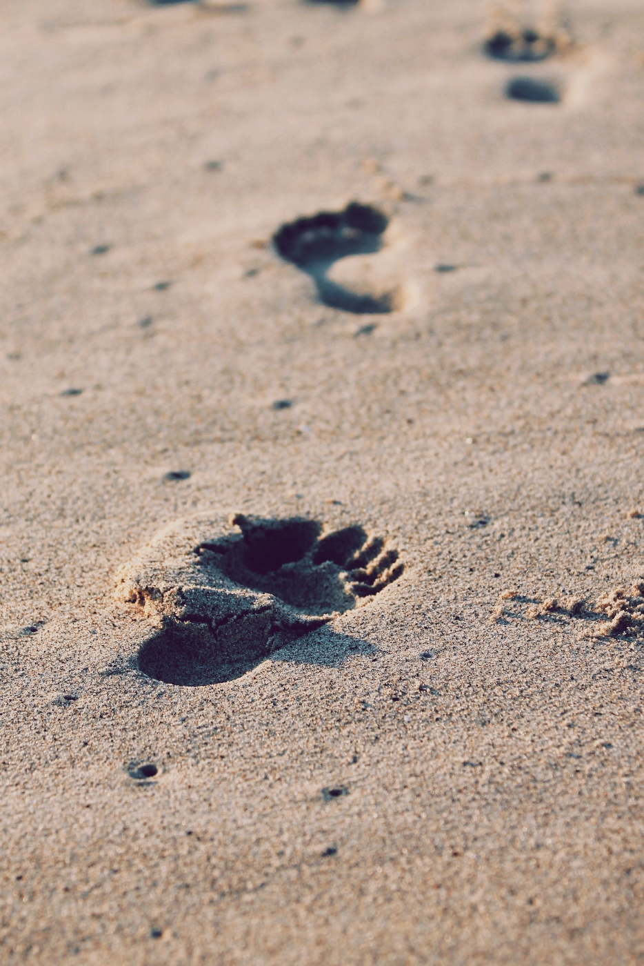 Footprints in sand