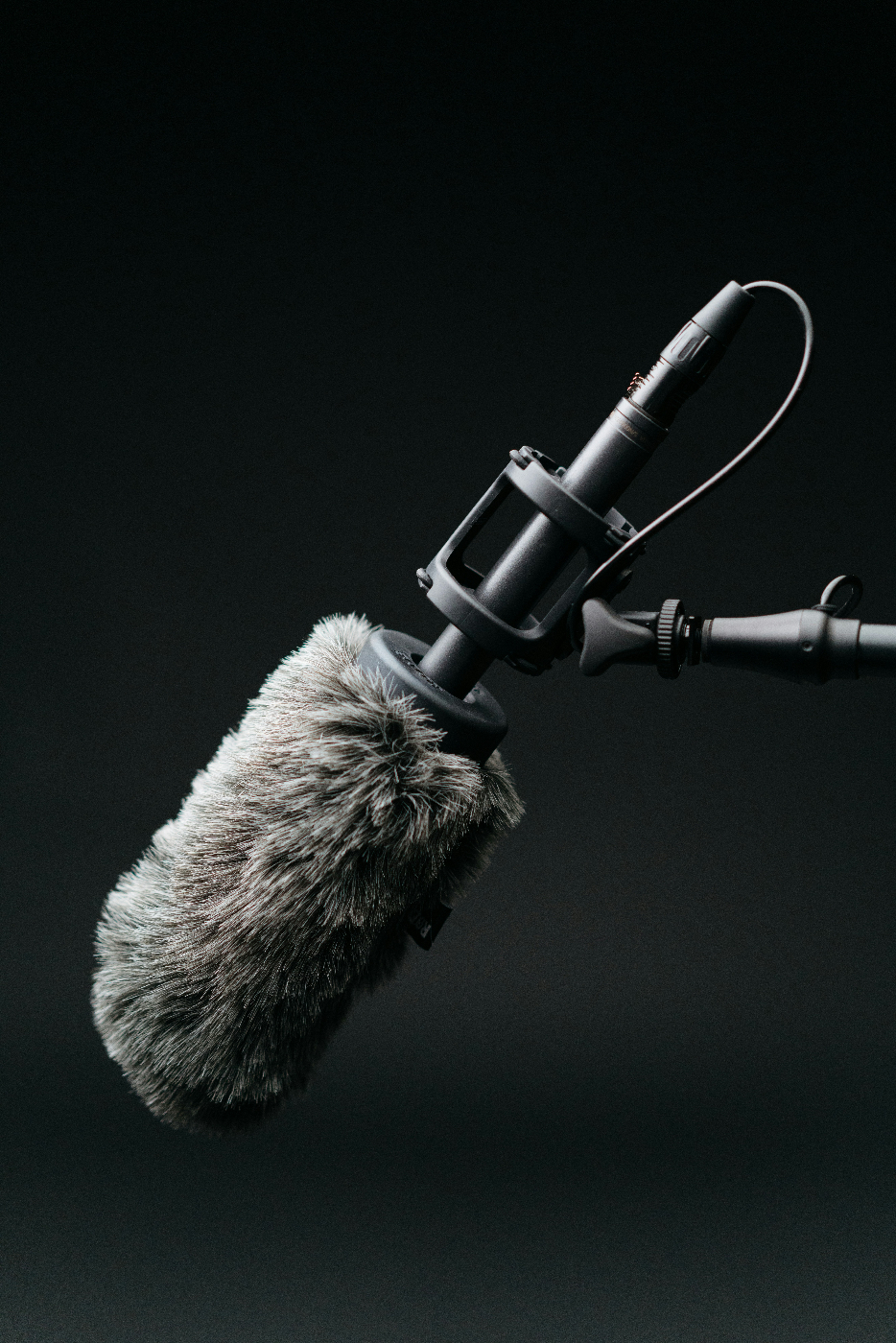 A microphone