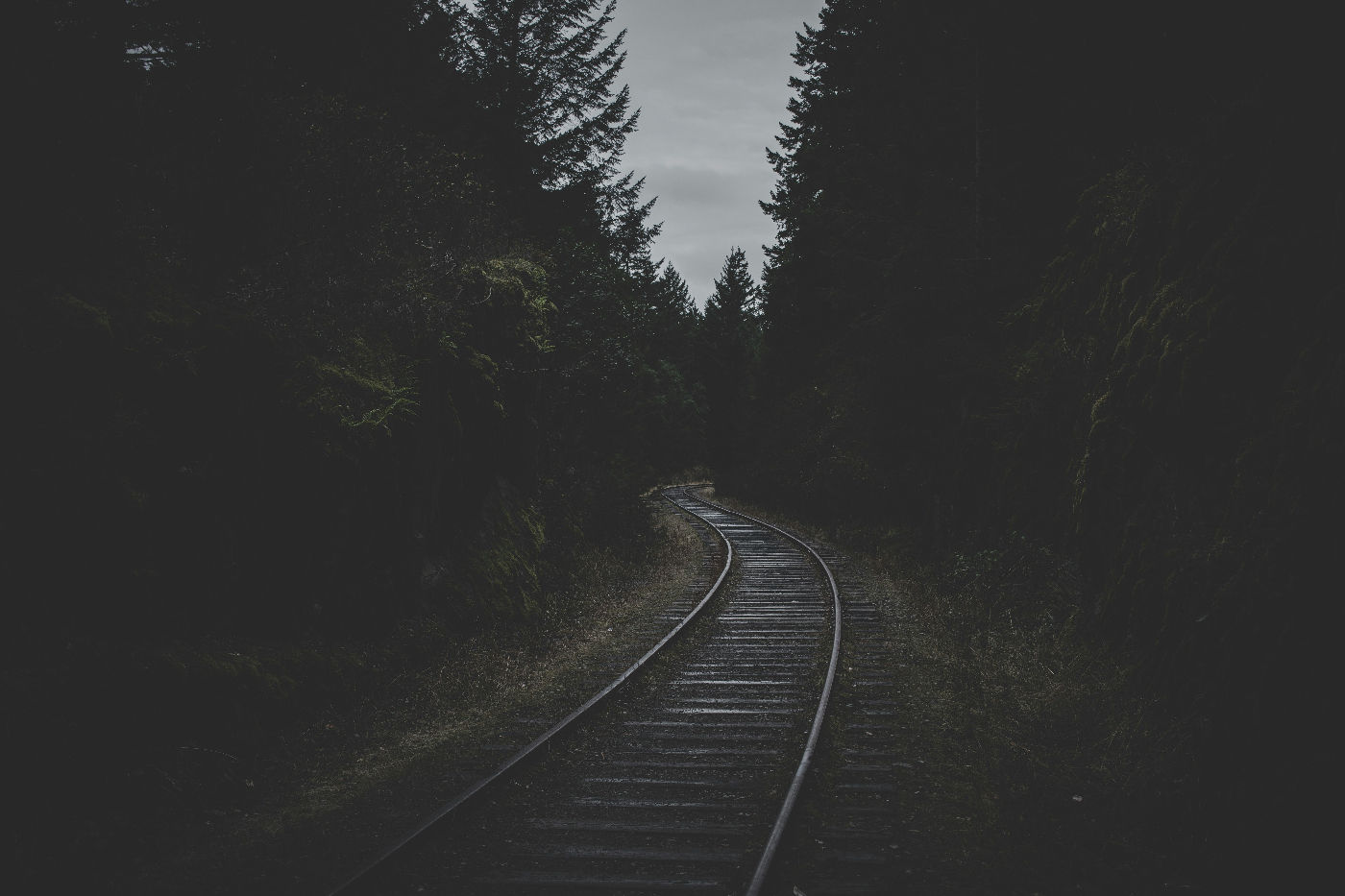 train tracks bending off into the trees