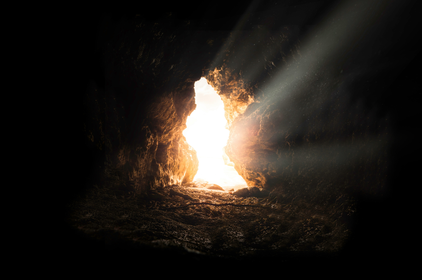 Inside a cave looking at the light coming in at the opening