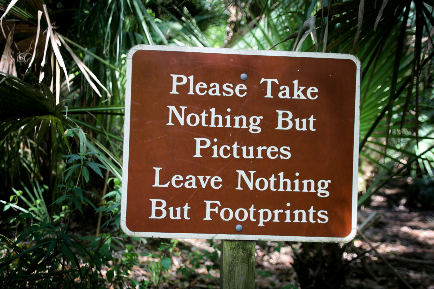 A national Parks sign in the woods reading: Please Take Nothing But Pictures Leave Nothing But Footprints