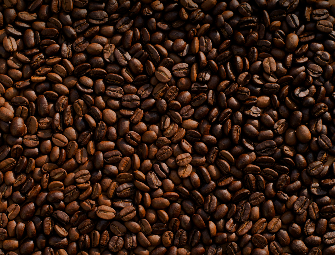 Roasted coffee
