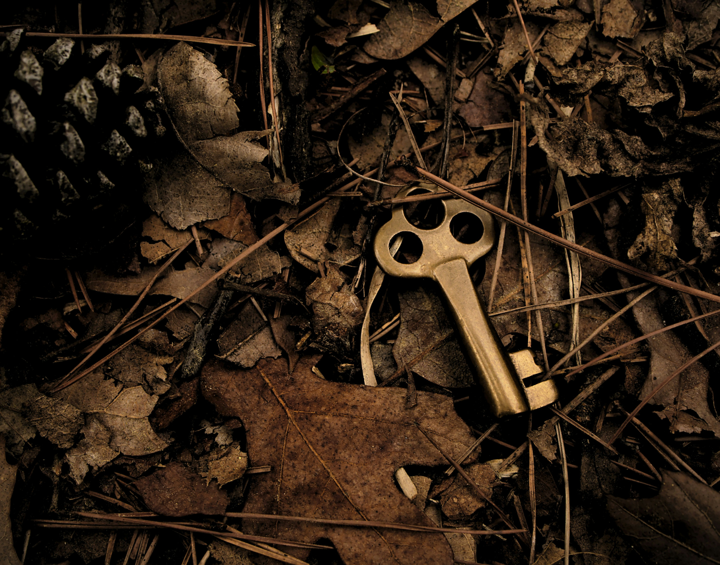 A brass key among leaves and twigs