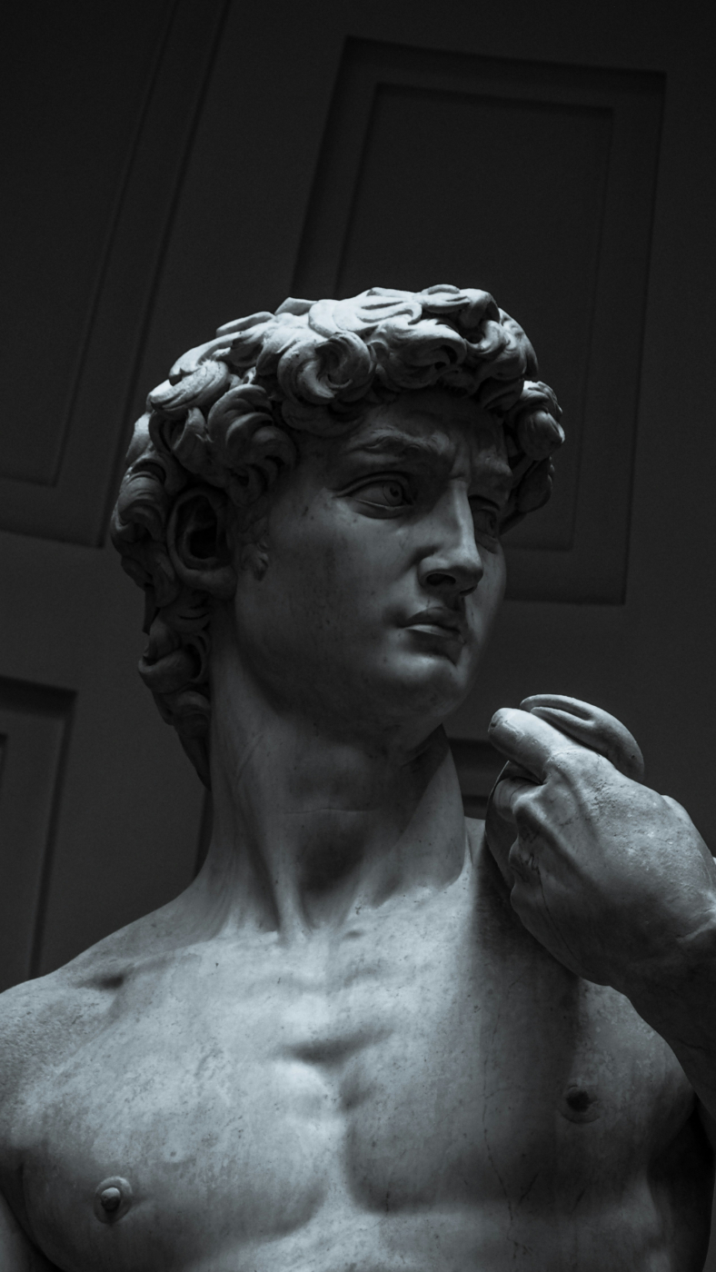 Image, chest up, of Michelangelo's The David