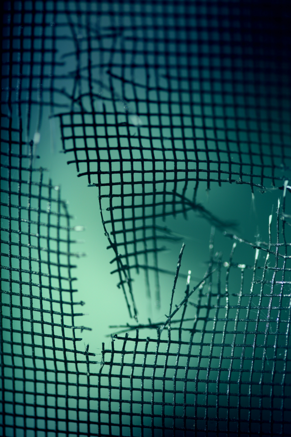a rip in a mesh fence