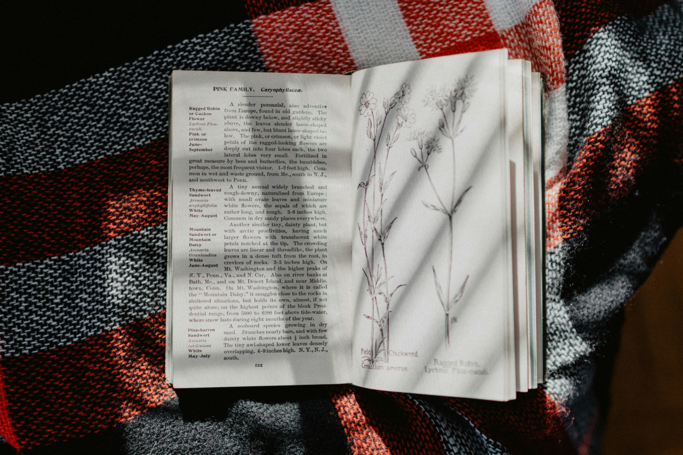 A field guide of plants open on a red, white and blue blanket