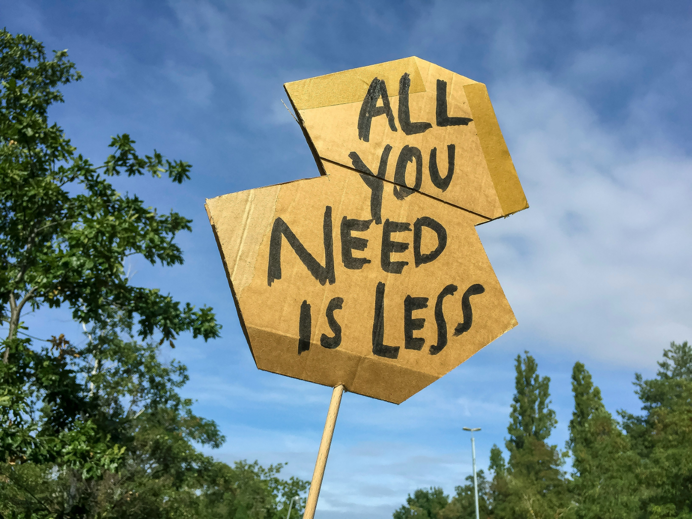 A protest sign made from a cardboard box reading All You Need Is Less