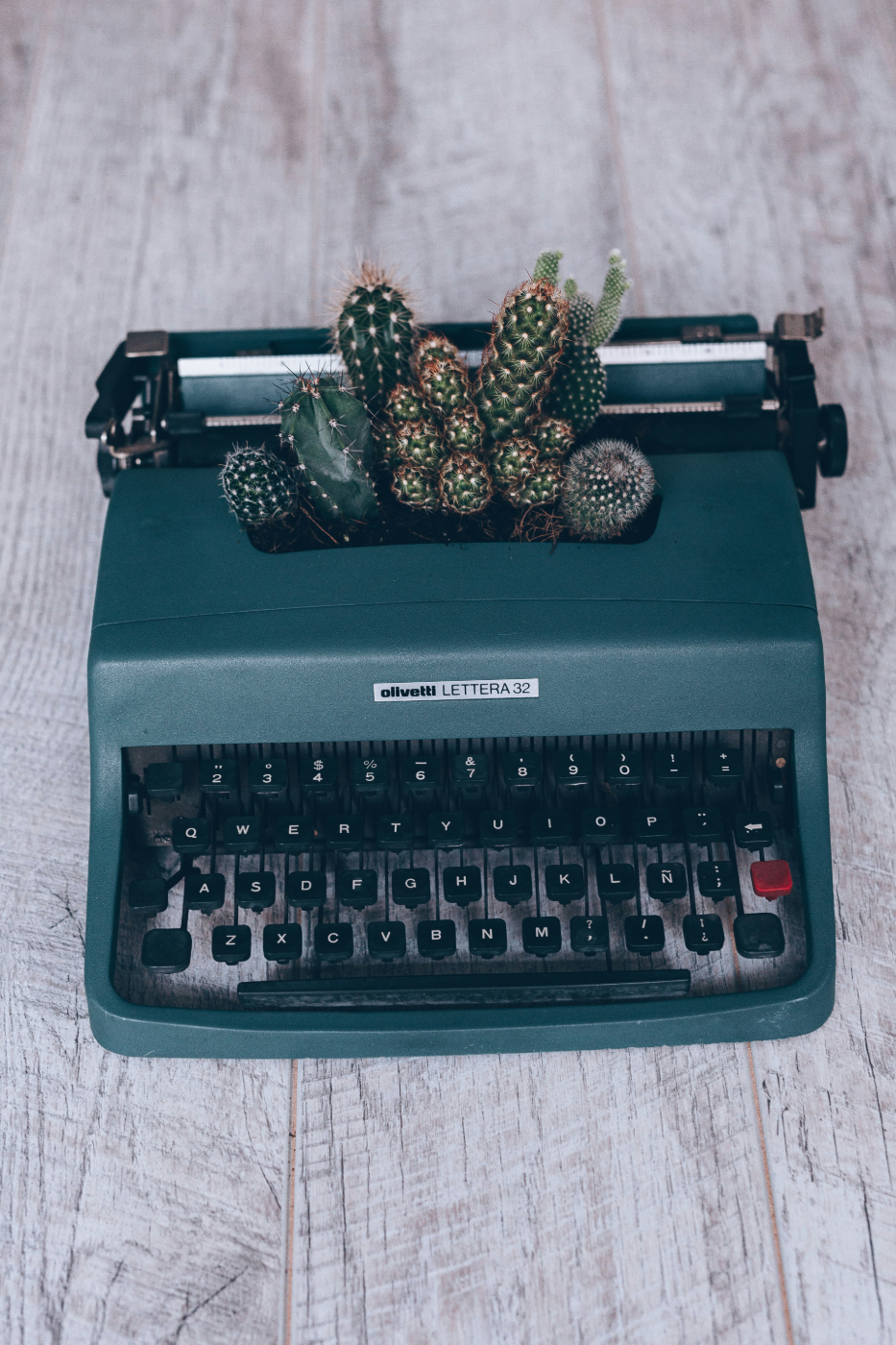 A green Olivetti typewriter with cacti growing out of it