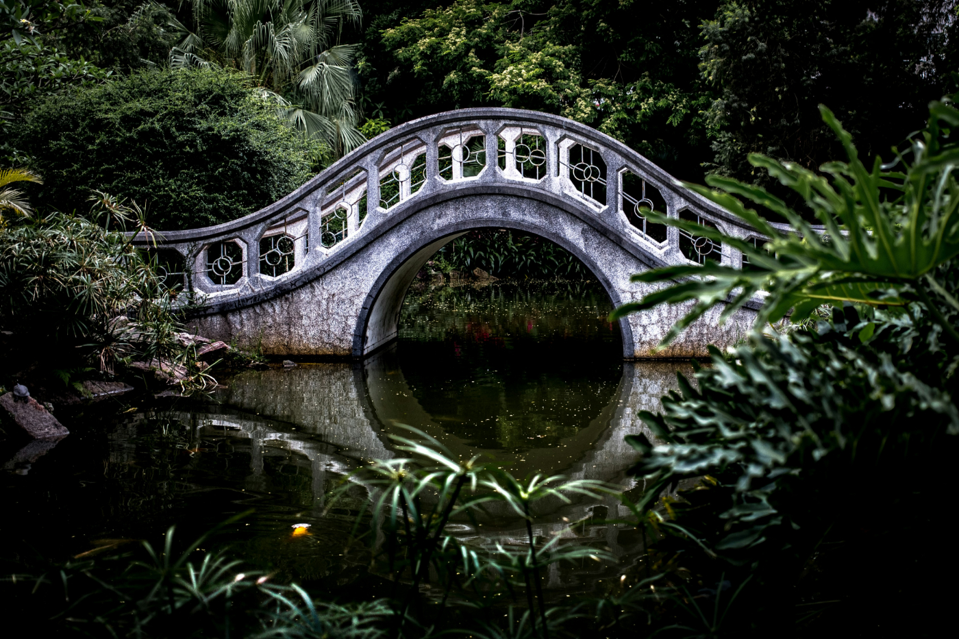 A footbridge over a still pond in a wooded area