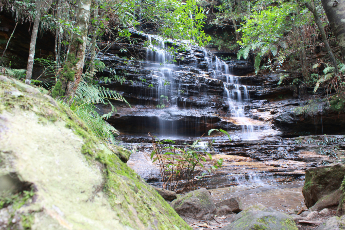 A waterfall in the forest