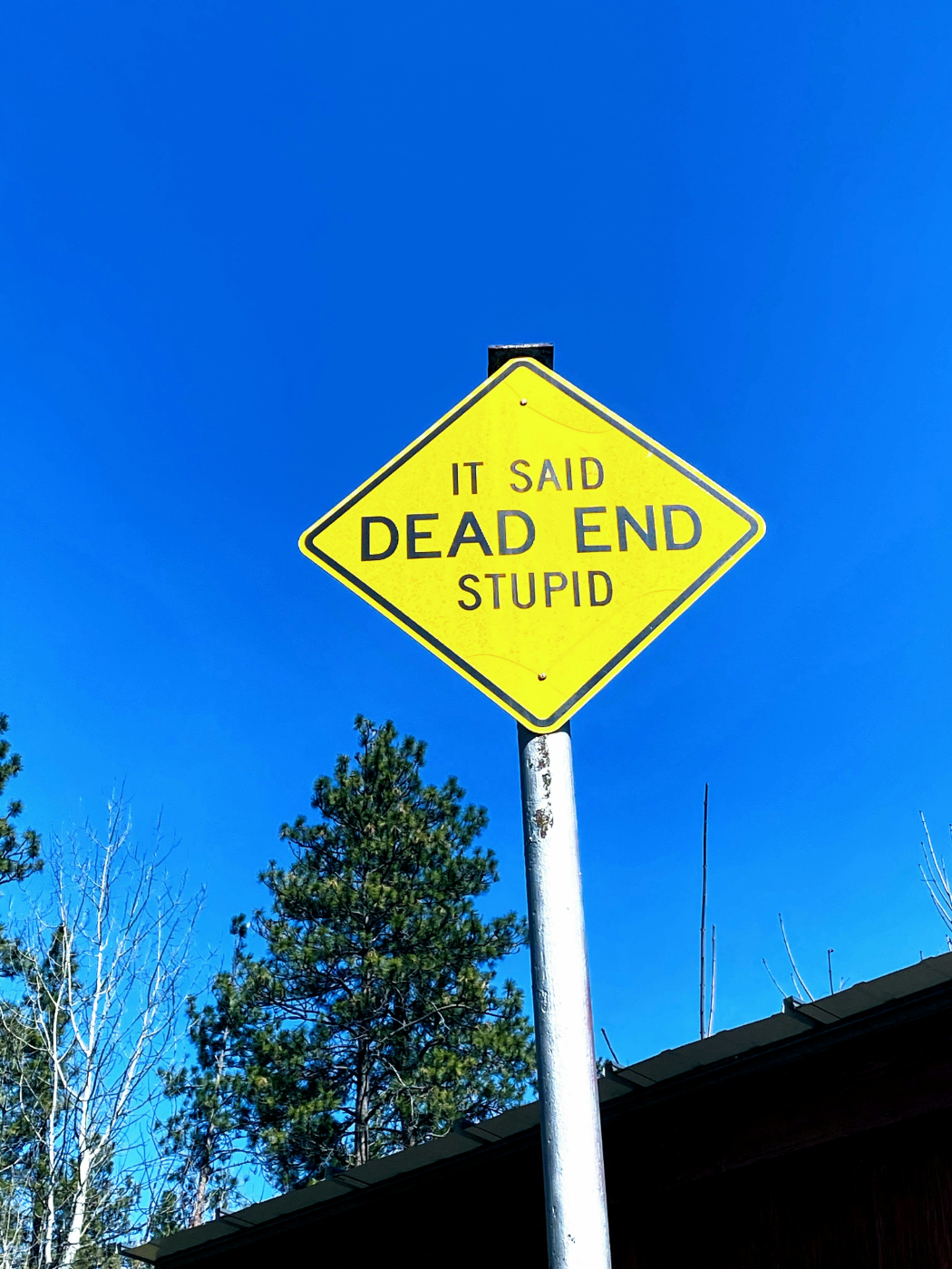 A yellow street sign reading: It Said DEAD END Stupid