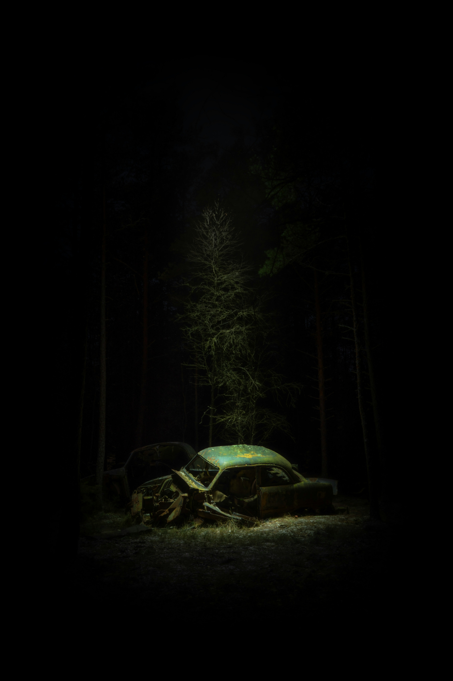 A decaying car in the woods in moonlight