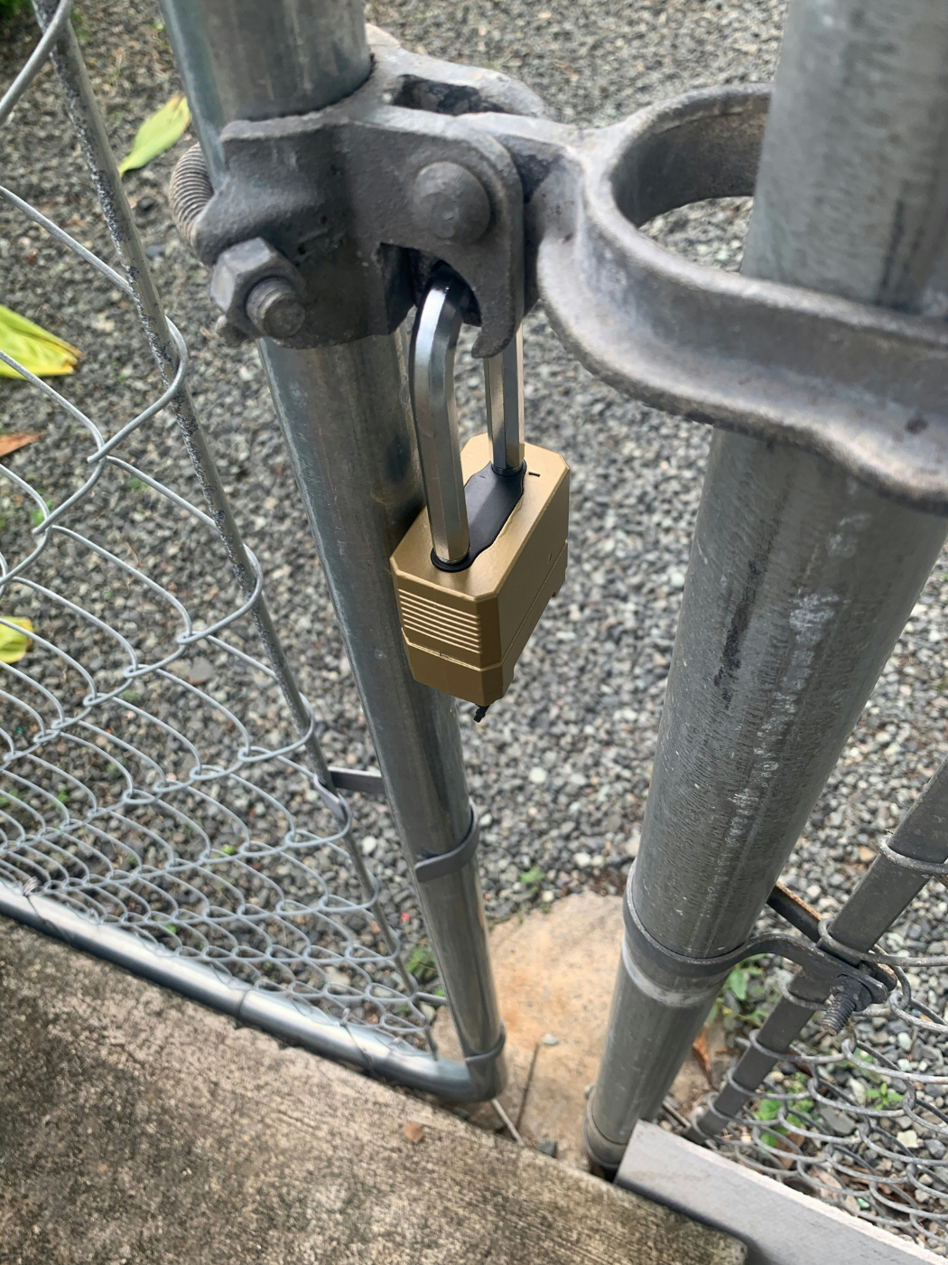 A chain link fence with a gold padlock