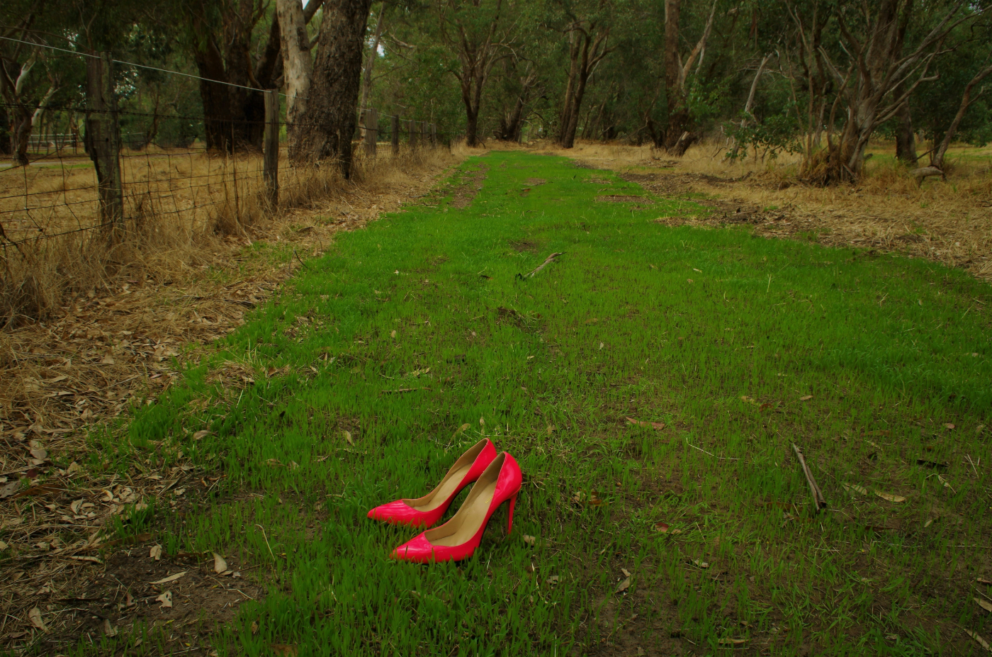 A pair of pink pumps sitting in  a green field