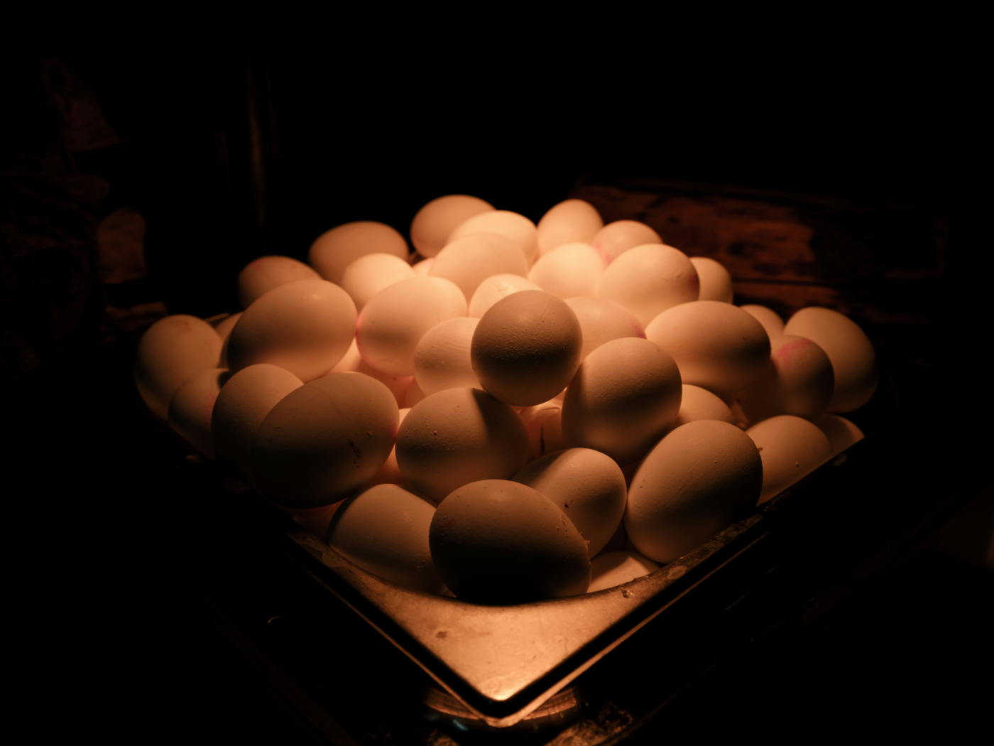 a platter of 50 hard boiled eggs