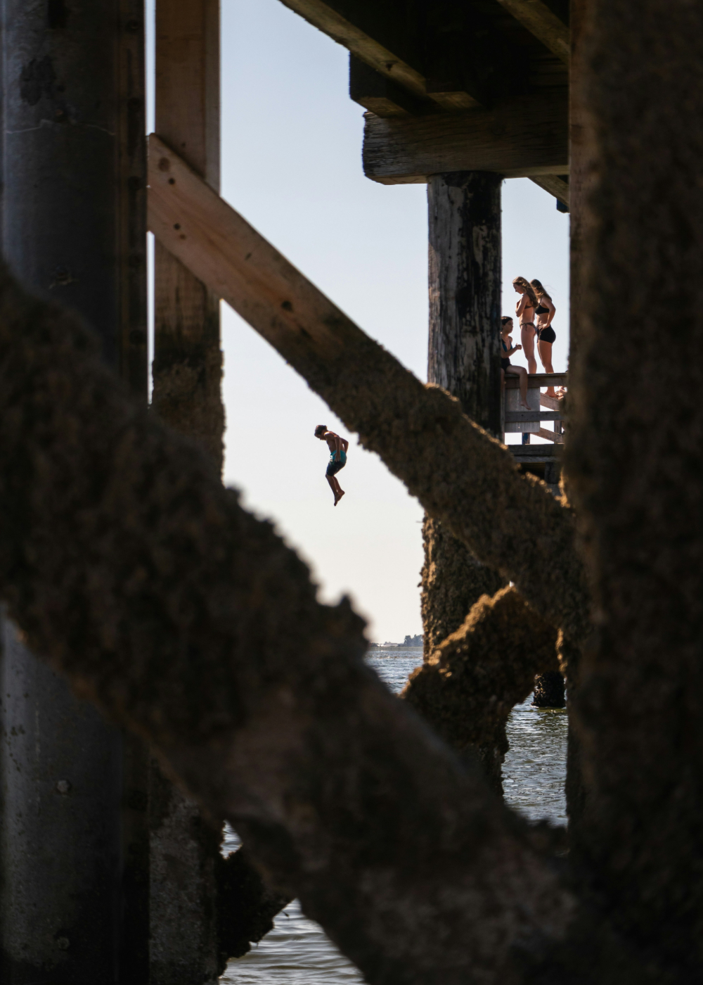 A shot from under a pier of kids jumping off a dock