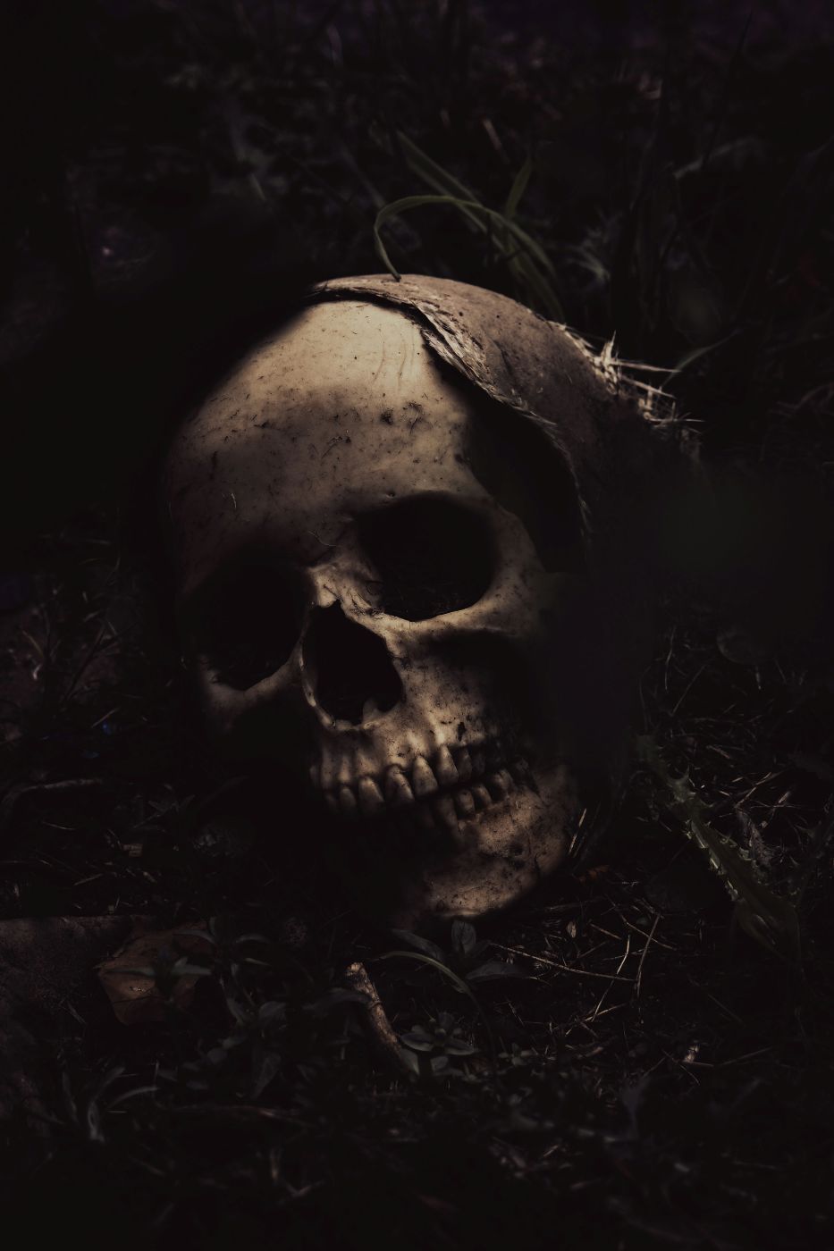 A human skull on the ground