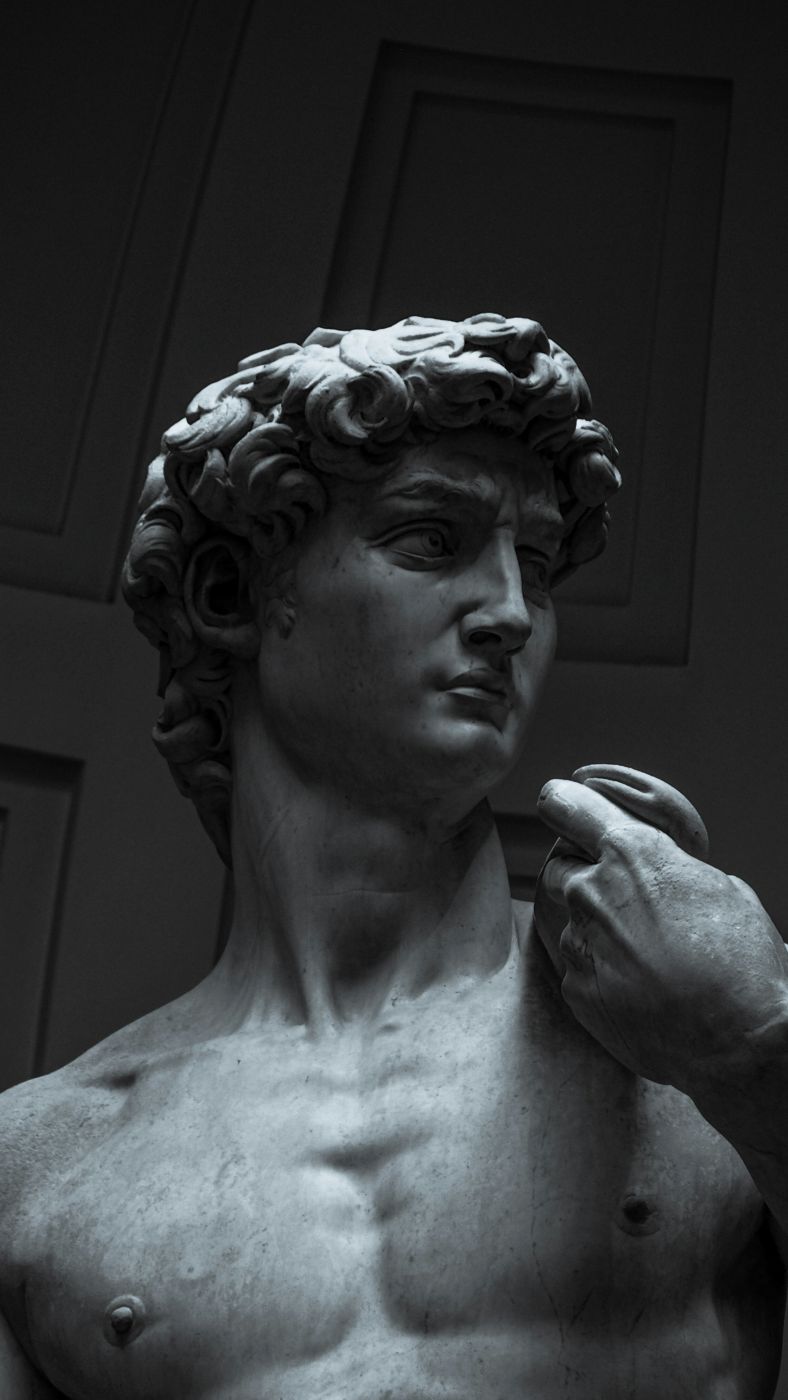The David