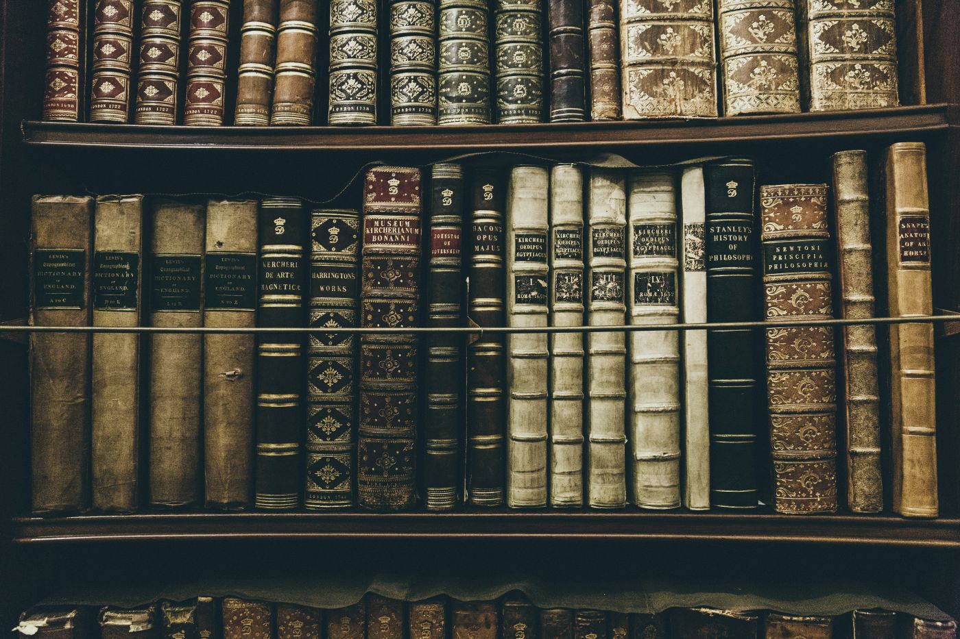 Shelves filled with old history books