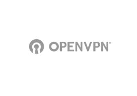 OpenVPN