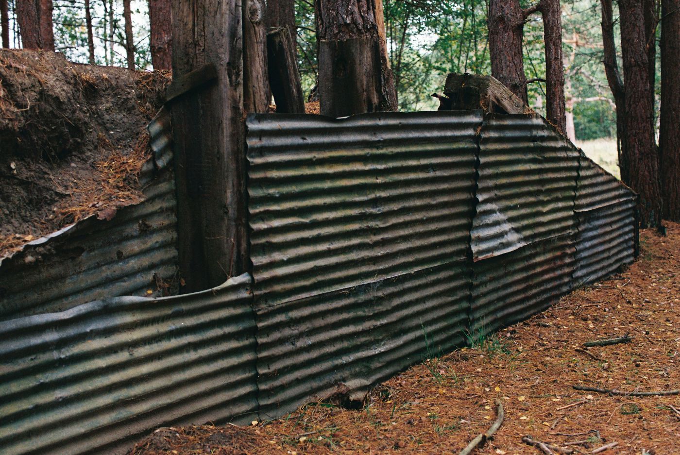 A corrugated metal bunker in the woods