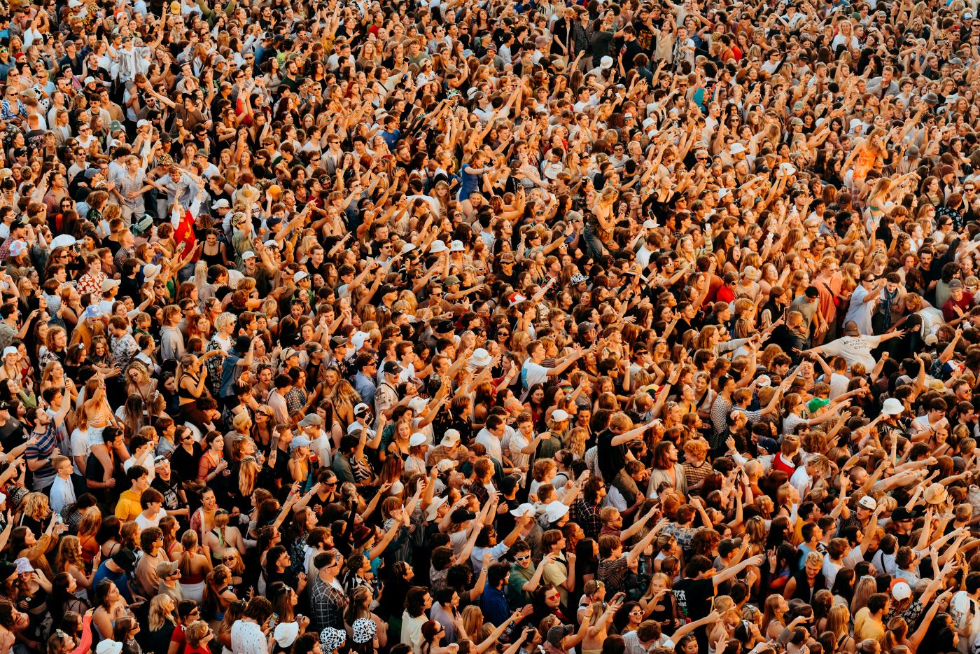 The masses