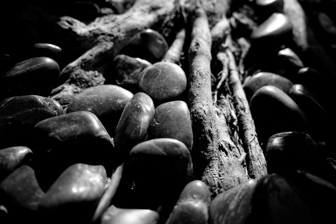 Black and white of sticks and stones