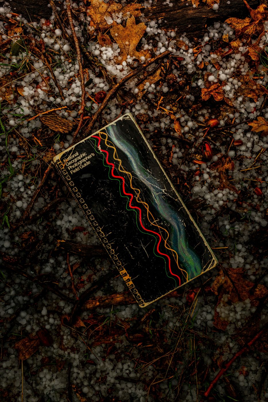 a black and red field guide