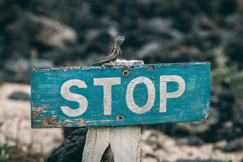 A rectangular blue sign reading STOP with a lizard on it