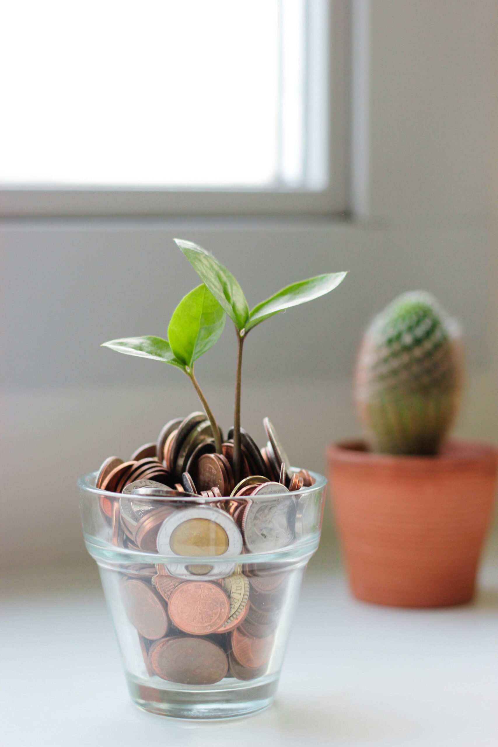 a plant sprouting from a glass filled with change