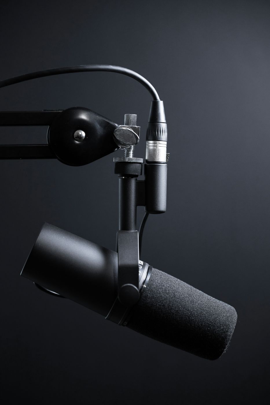 Black and silver microphone