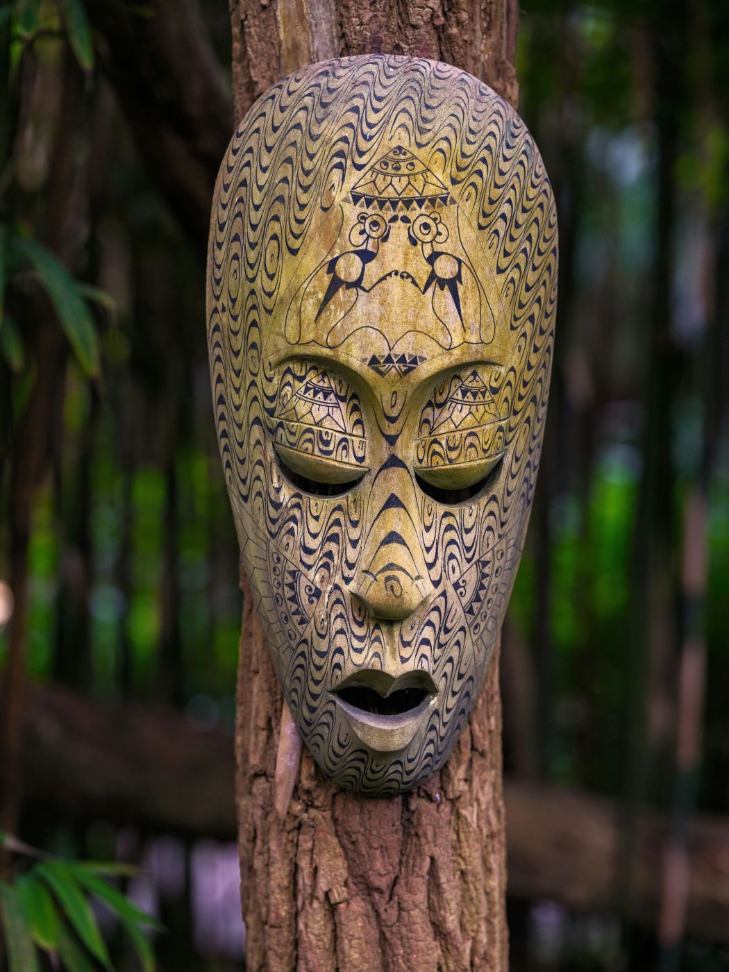 An ornate tribal mask on a tree
