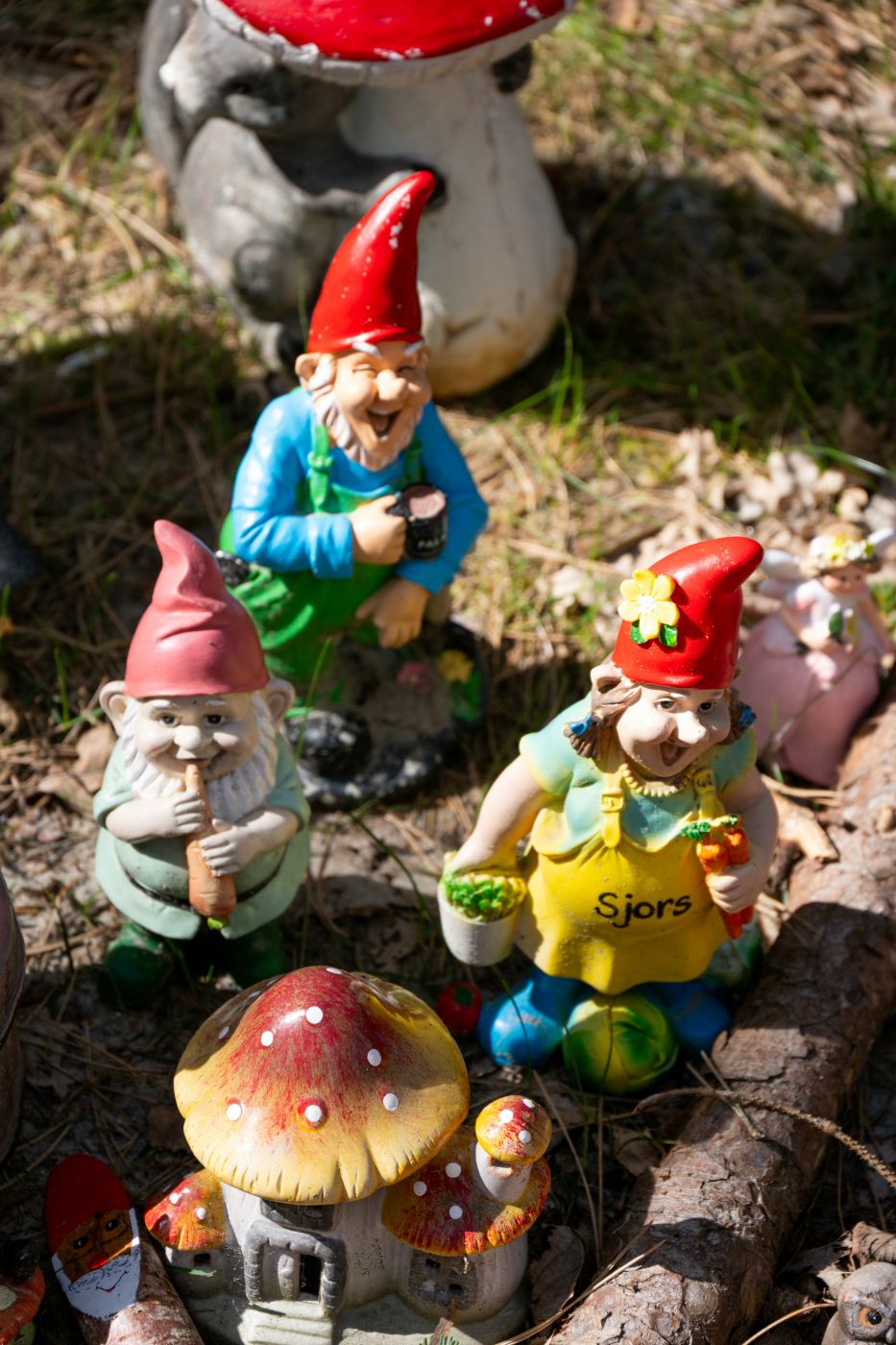 A family of garden gnomes