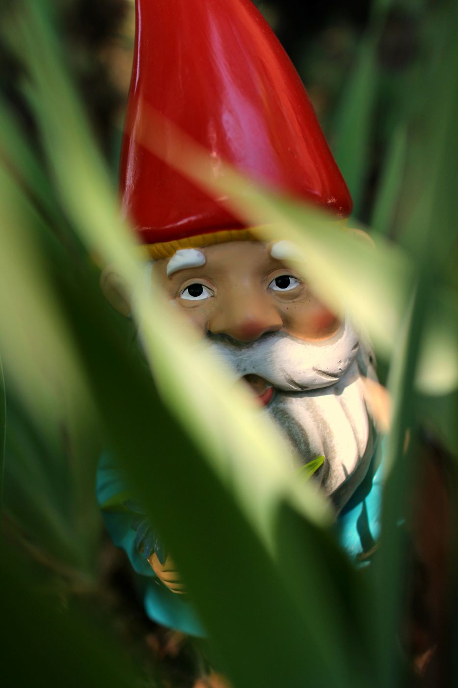 a garden gnome looking through leaves